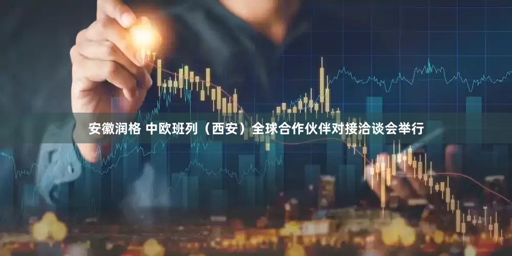 安徽润格 中欧班列（西安）全球合作伙伴对接洽谈会举行