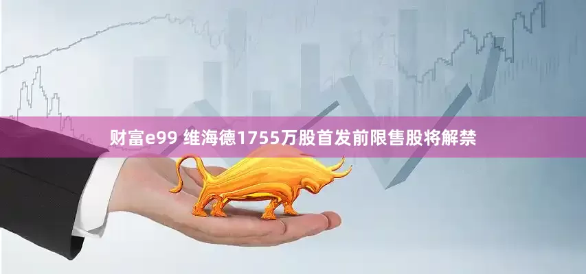 财富e99 维海德1755万股首发前限售股将解禁