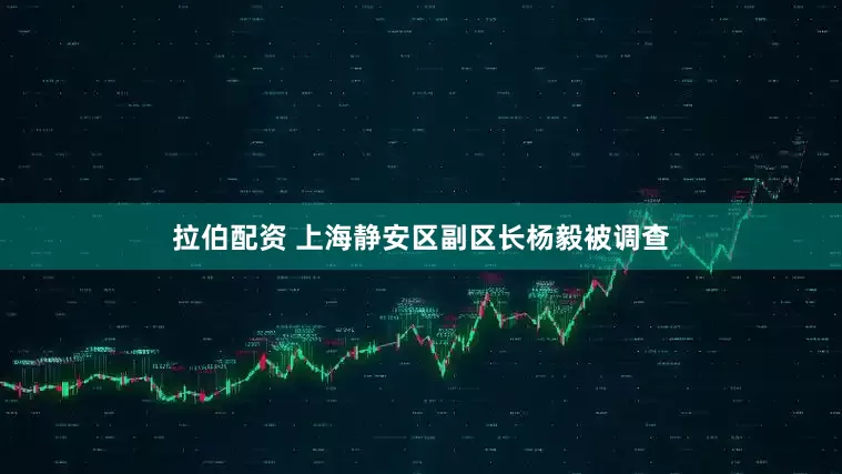 拉伯配资 上海静安区副区长杨毅被调查