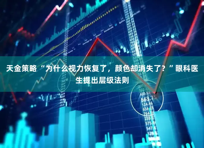 天金策略 “为什么视力恢复了，颜色却消失了？”眼科医生提出层级法则